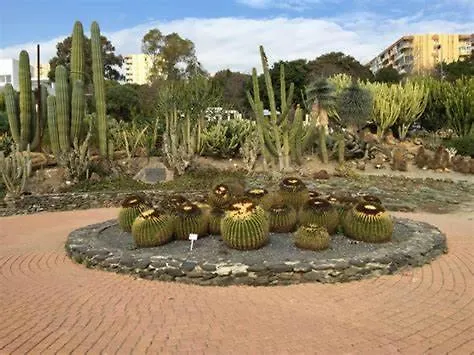 Bajo Las Palmeras Apartment Benalmadena 0*,  Spain